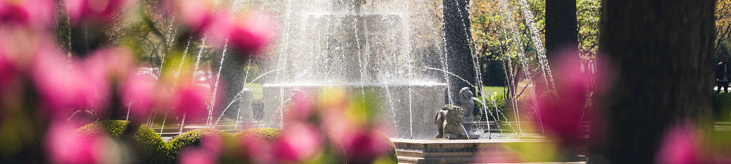 A picturesque view of the fountain on Regent University's Virginia Beach campus with spring blooms in the foreground.